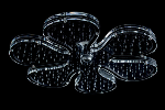 Clearshower
