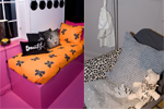 F�rg p� v�ggar och m�bler till barn i olika �ldrar