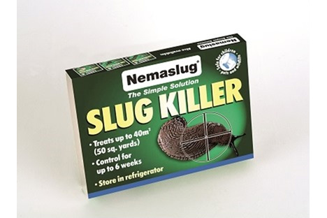 Mot sniglar och öronvivel