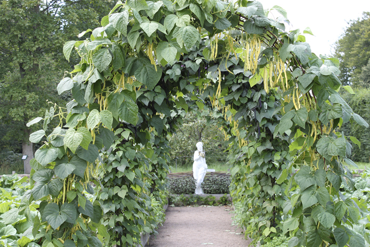 Tusen trädgårdar håller öppet i Sverige 12 augusti!
