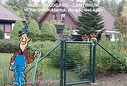 Grind, Staket & Stängsel