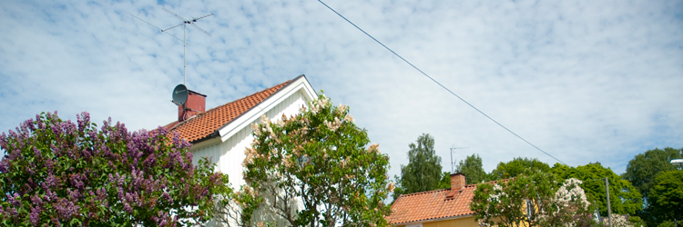 BÄSTA TIPSEN - SÅ SKYDDAR DU DIG MOT ÅSKAN