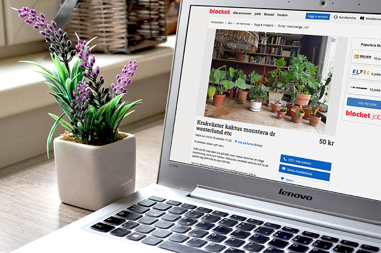 Plantor och sticklingar kan klickas  hem eller säljas på nätet.