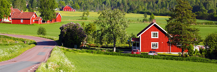 Enklare att hyra ut hus på landet till nyanlända