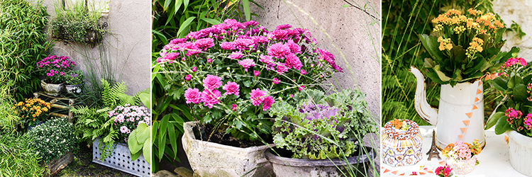 Höstfint med grönska och blommor