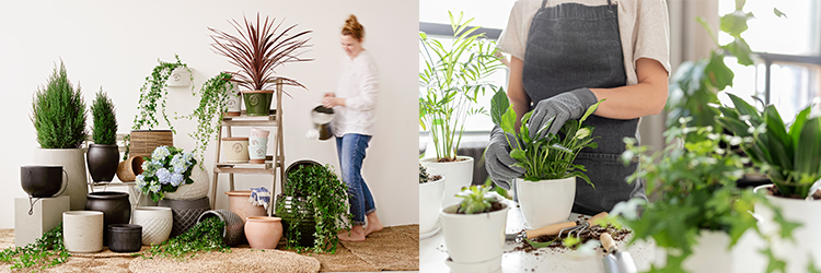 I väntan på våren - plantera i kruka I väntan på våren - plantera i kruka