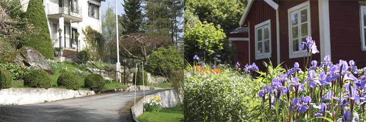 Planera trädgården efter husets färg och stil