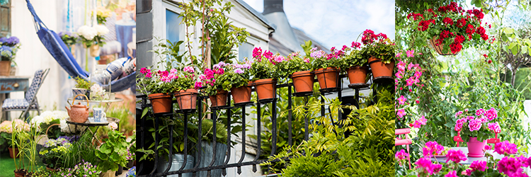 Så blir balkongen en blomstrande oas