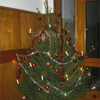 julgran