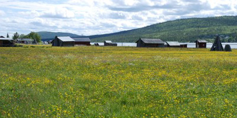 Allt Om Bostad